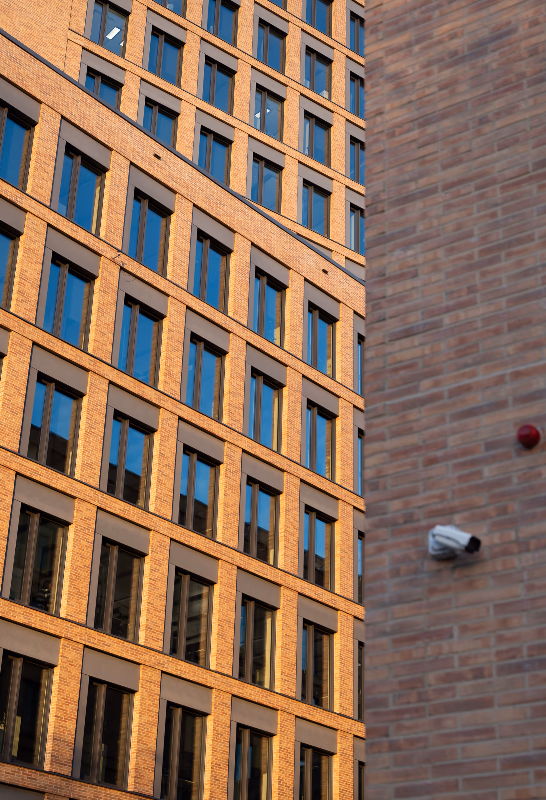 Image from 2024 album