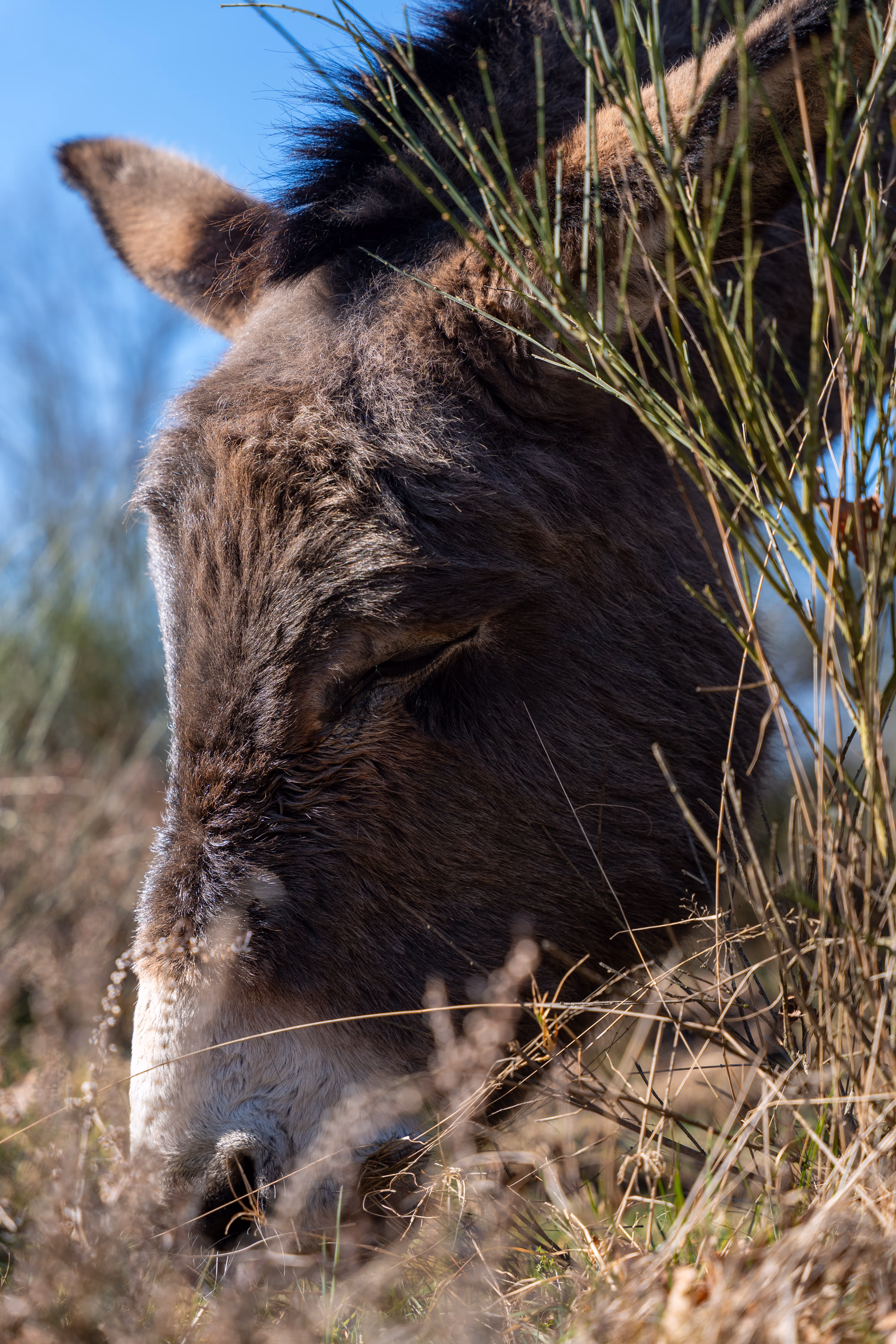 Image from 2025 album