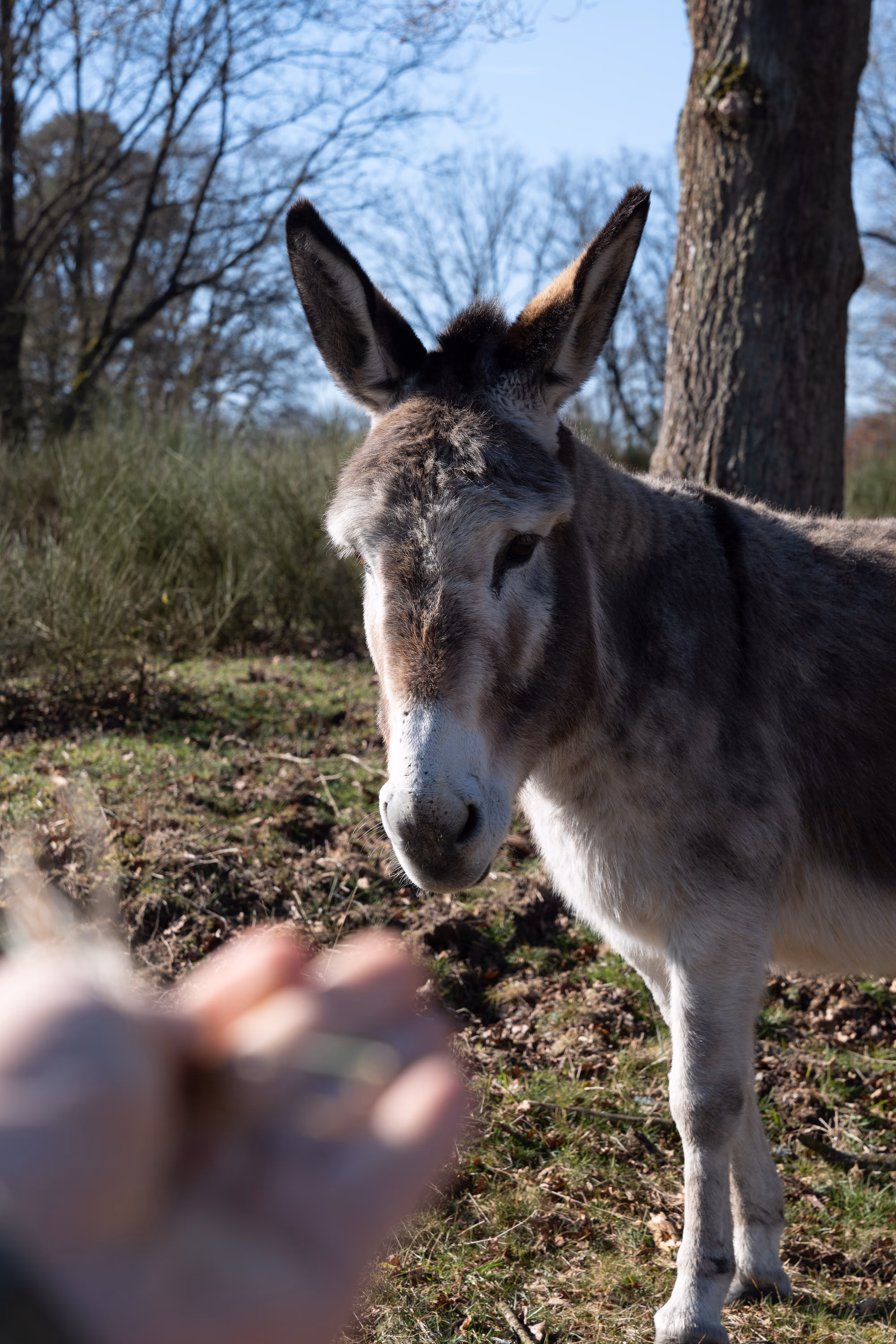 Image from 2025 album