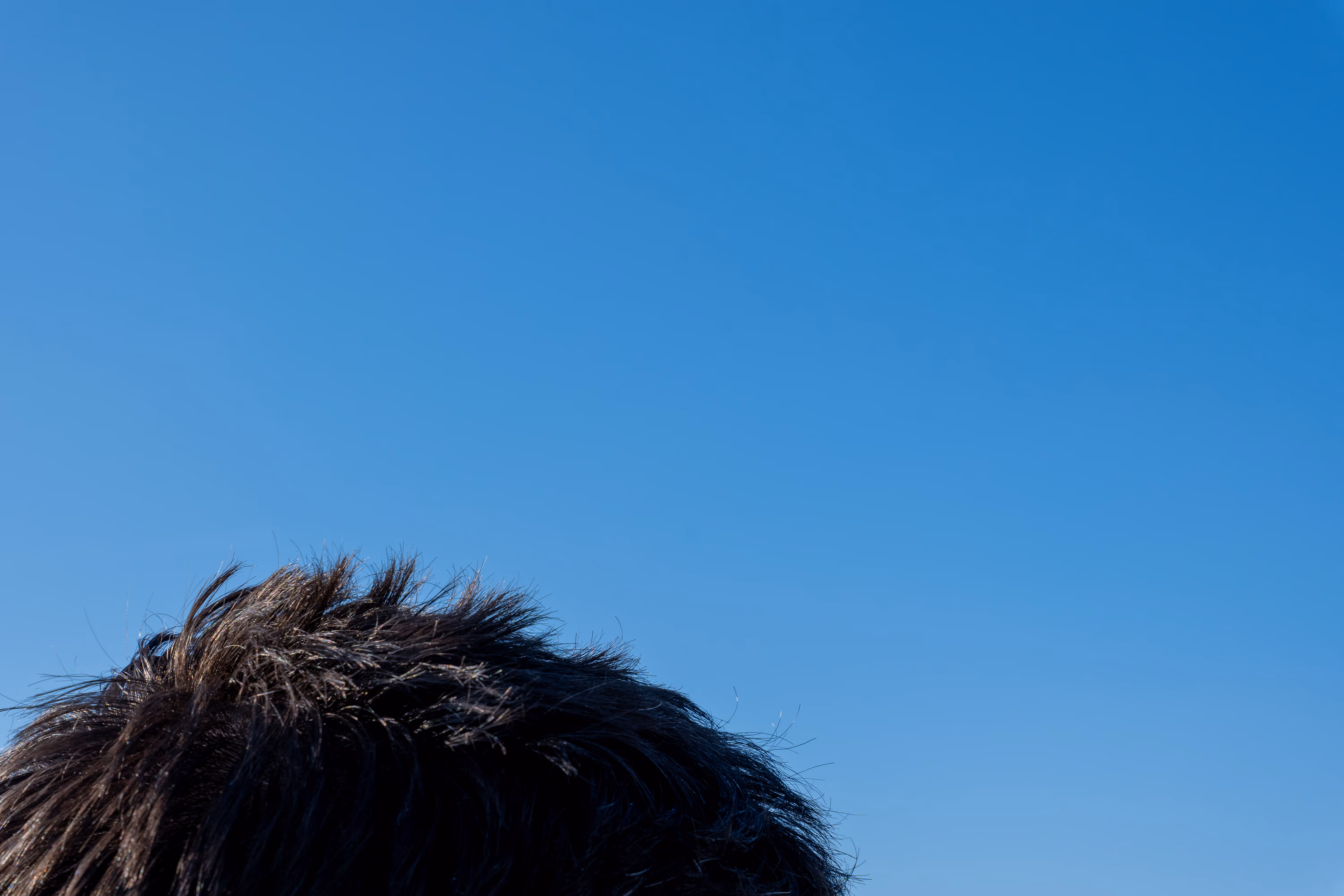 Image from 2025 album