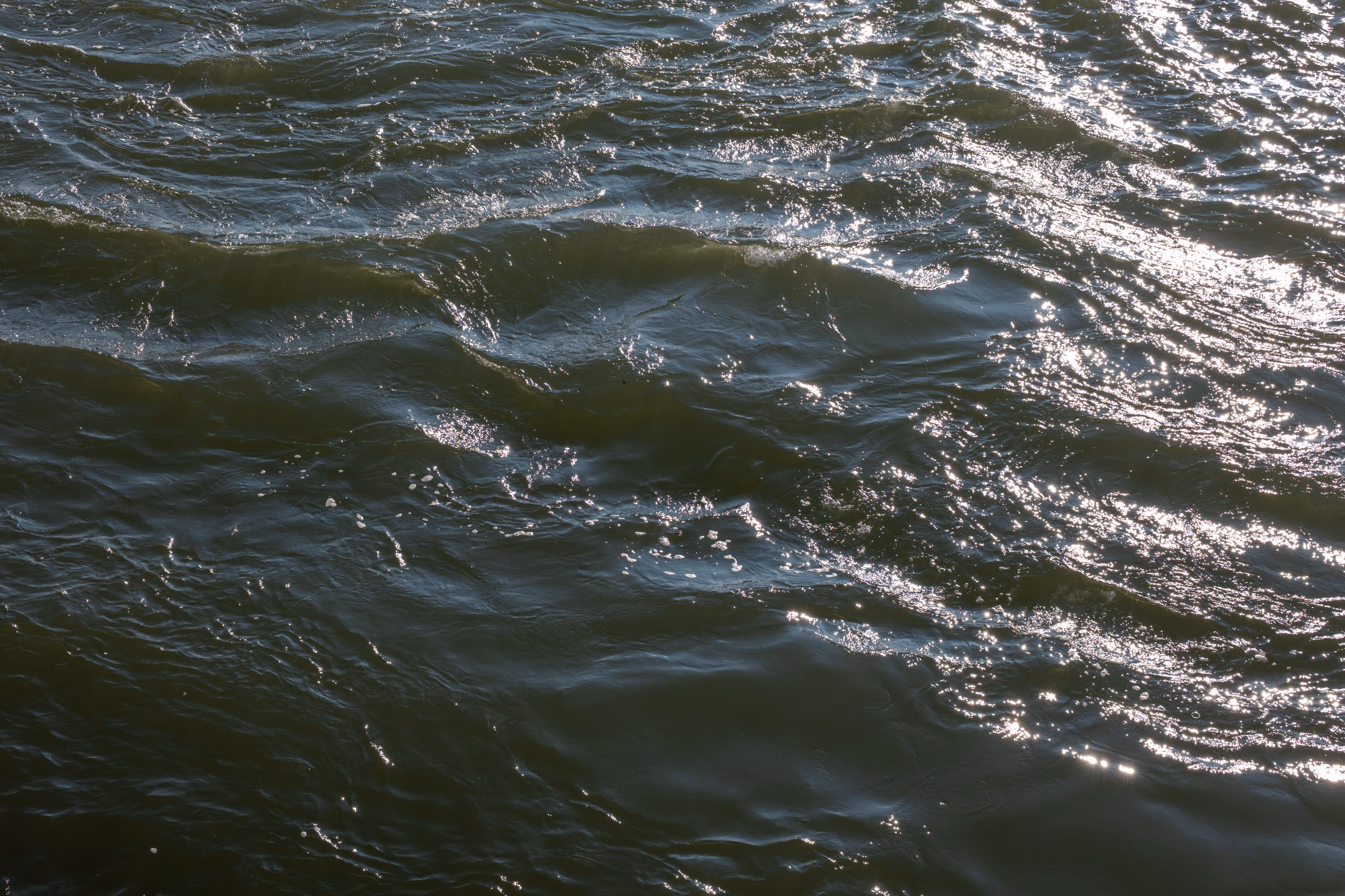 Image from 2025 album