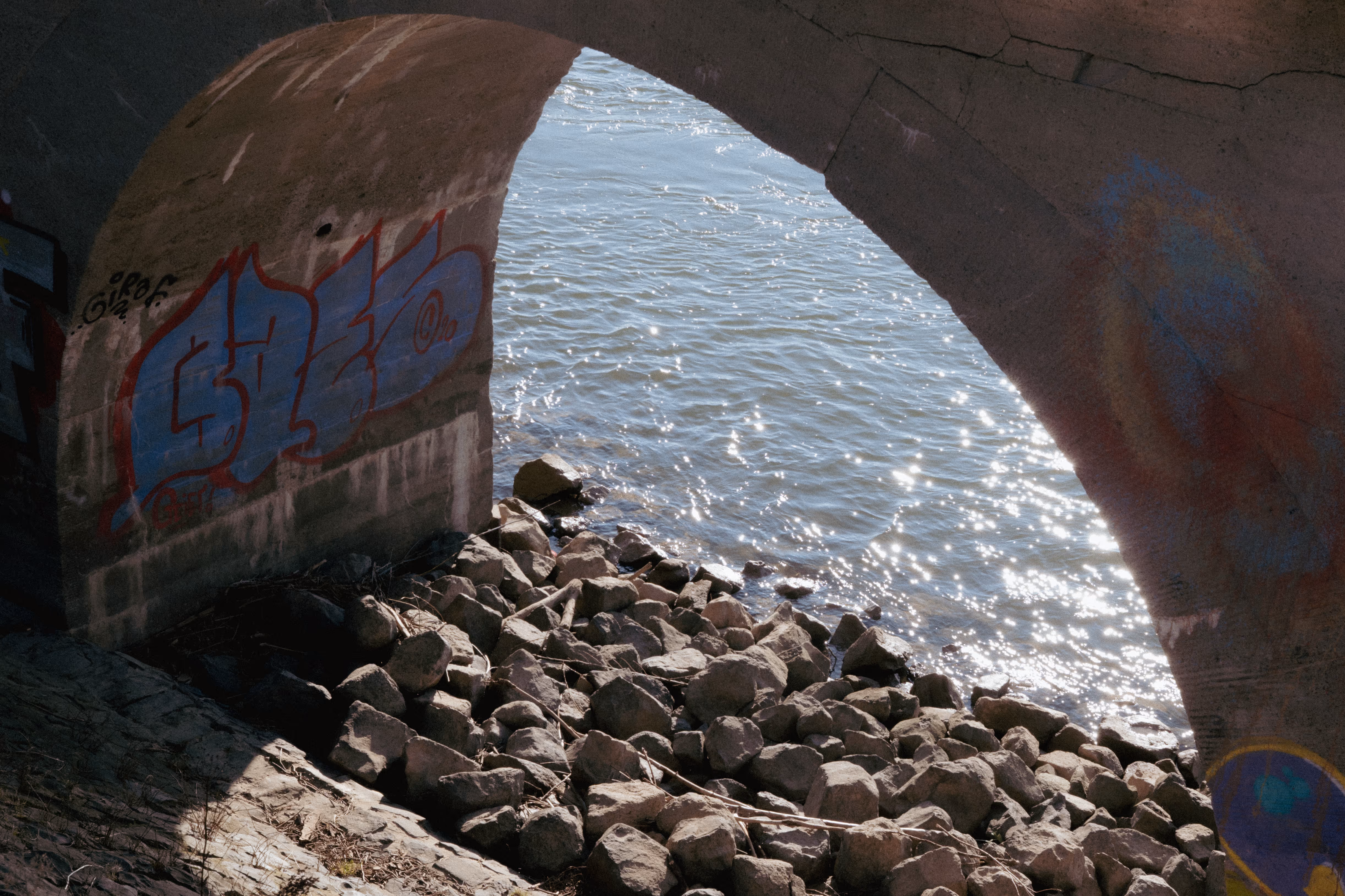 Image from 2025 album