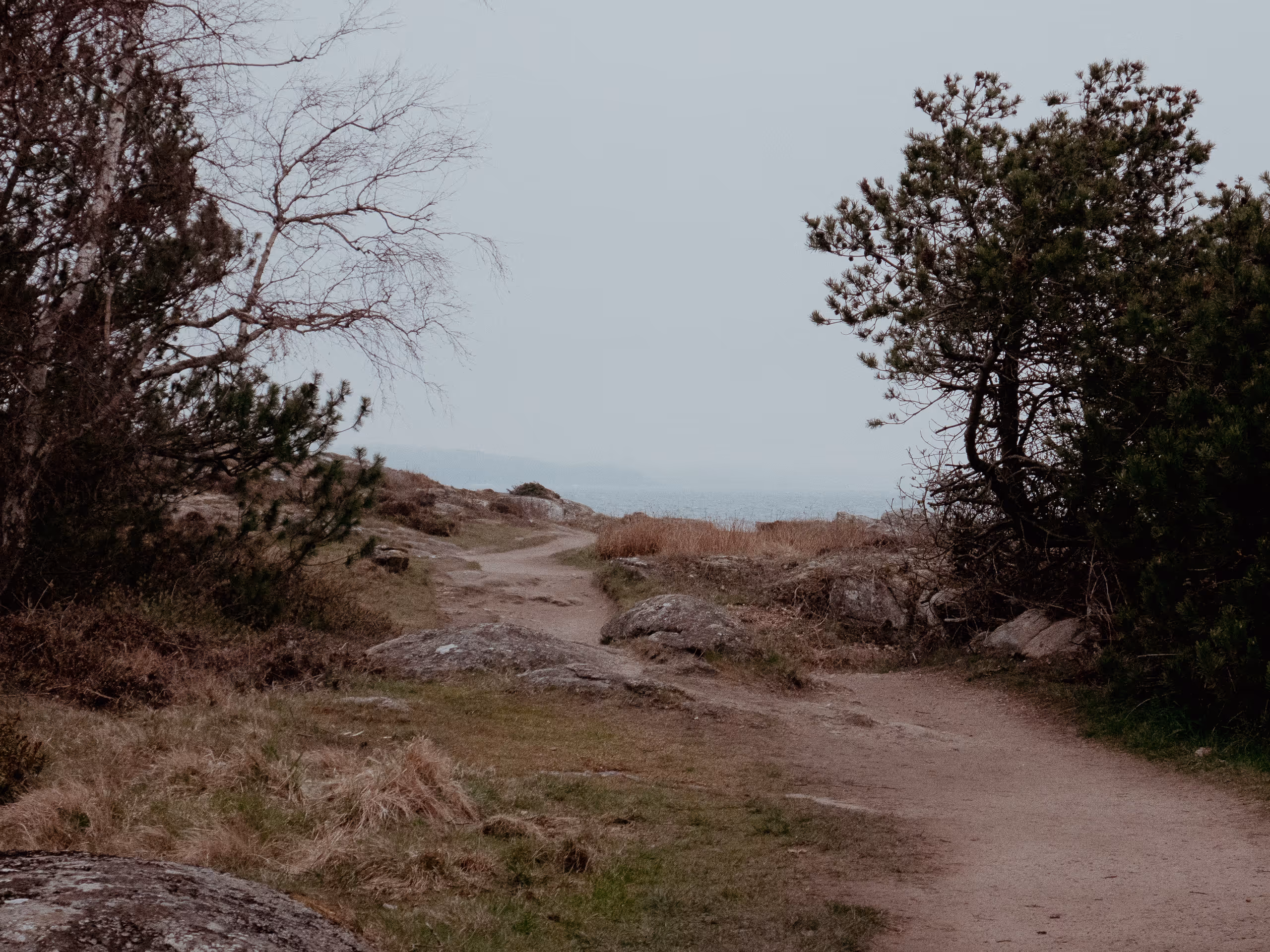 Image from 2023 album