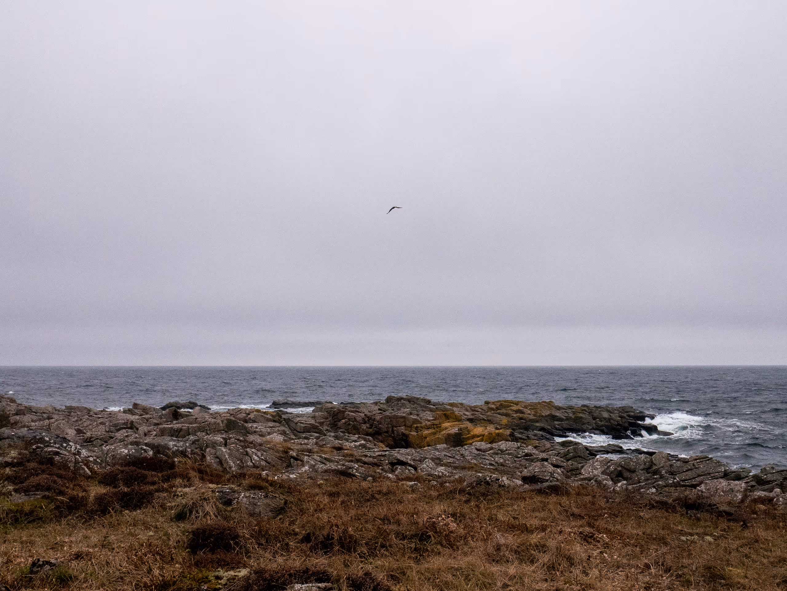 Image from 2023 album