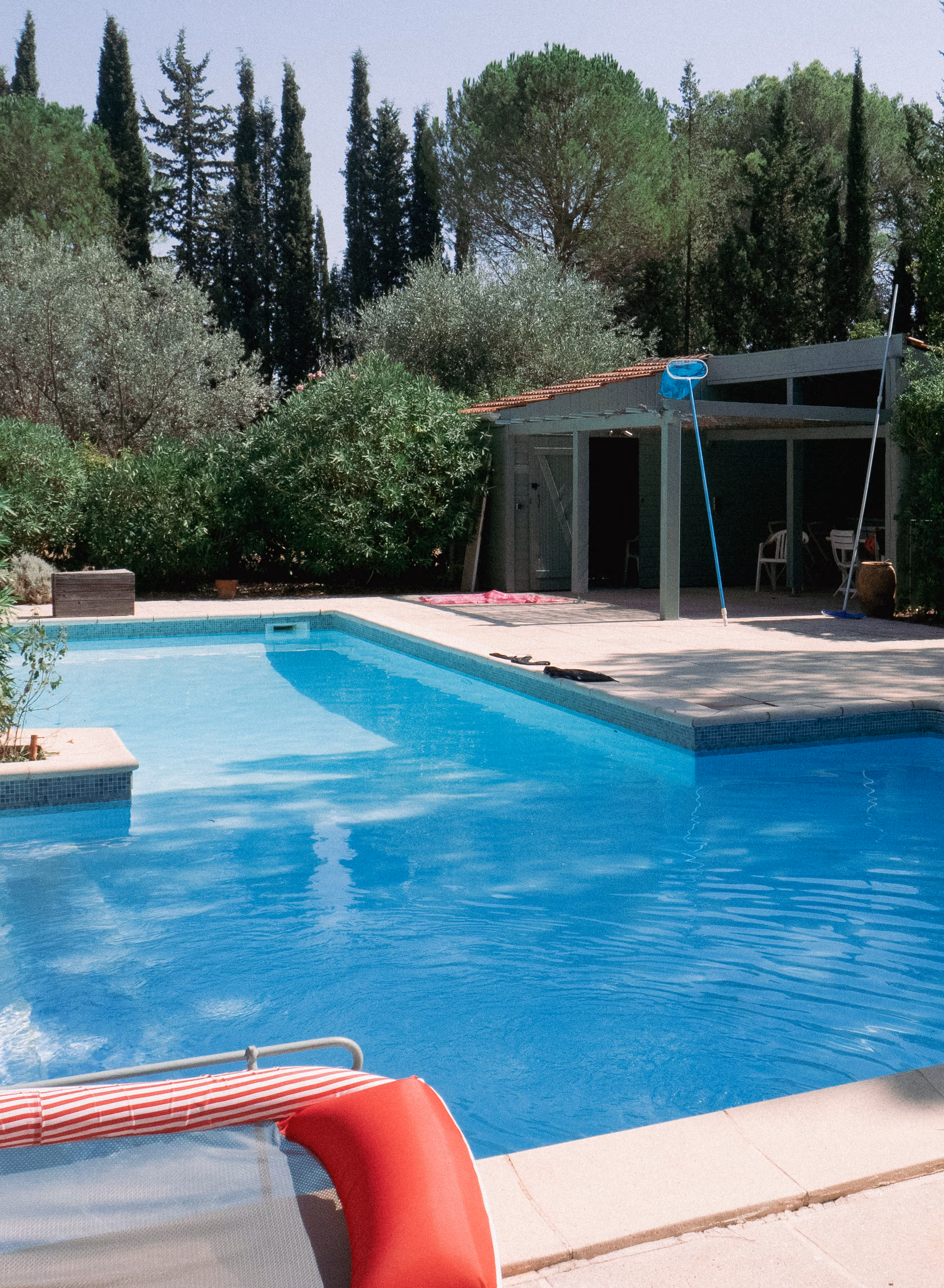 Image from 2023 album