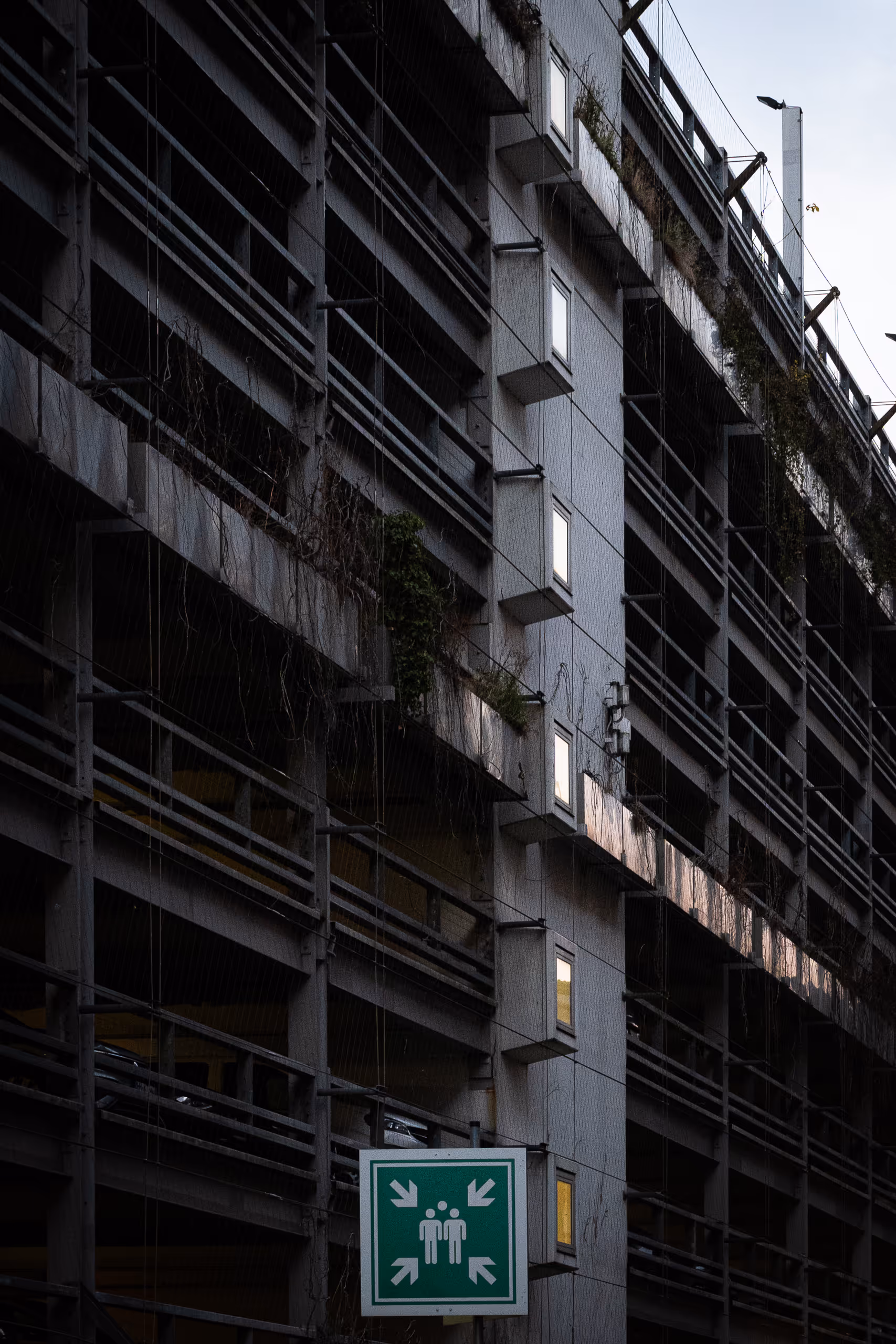 Image from 2024 album